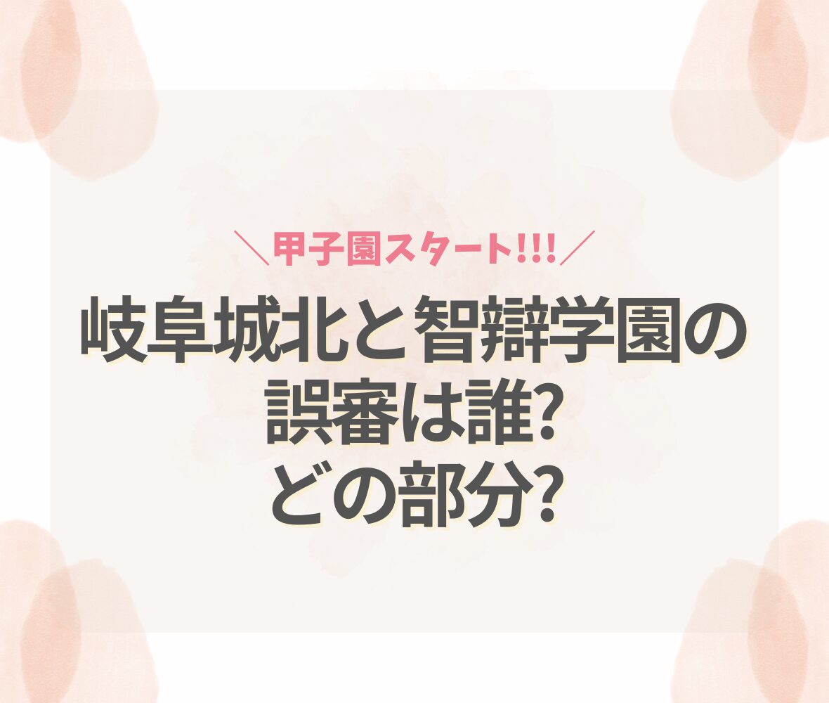 岐阜城北と智辯学園の誤審は誰?どの部分?